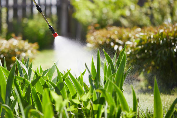 24/7 Emergency Mosquito Control experts in West Salem, OH