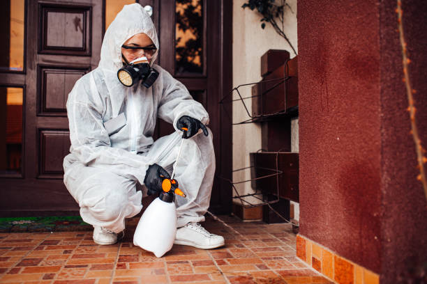 Reliable Mosquito Control contractor in West Salem, OH by Show Me Pest Control