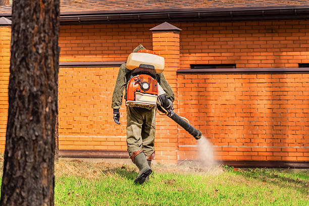 Top rated local Mosquito Control specialists in West Salem, OH